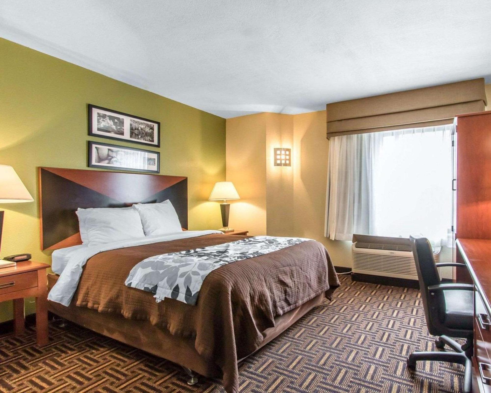 Queen Room - Disability Access,1275732190:JPEG